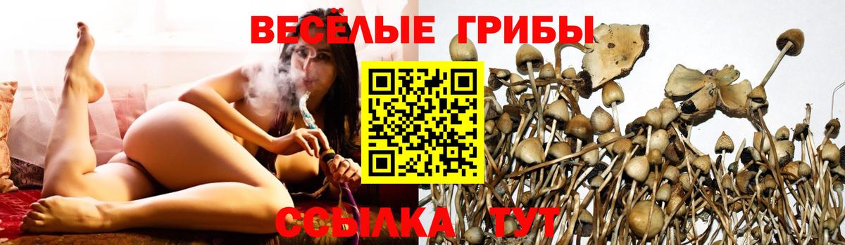 Псилоцибиновые грибы Magic Shrooms  Вход с VPN  Ивантеевка  купить наркотики сайты  Галлюциногенные грибы мухоморы 